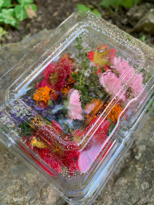 Edible Flowers Small Box